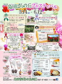 ■ 「島田ばらの丘フェスティバル」　始まっています！■ 5/14～6/12・島田市ばらの丘公園