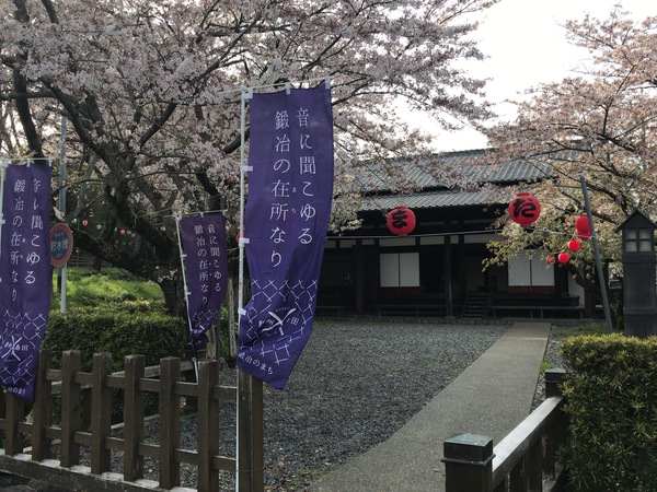 ■ 島田宿大井川川越遺跡の桜が、綺麗に咲いています。