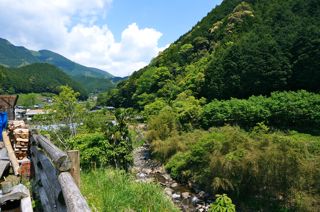 オクシズ・水見色、静岡は奥が深い。