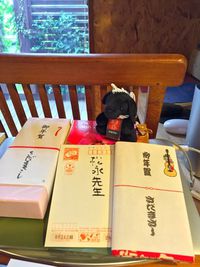 さだまさしさんからのお年賀 2018/01/05 16:52:22