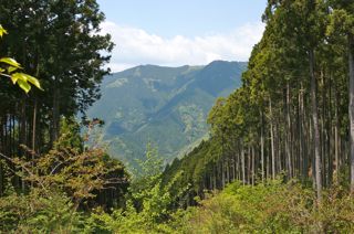 オクシズ・水見色、静岡は奥が深い。