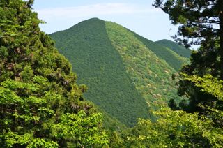 オクシズ・水見色、静岡は奥が深い。
