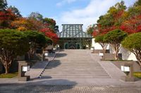 MIHO MUSEUM (ミホミュージアム)・ガラス屋根 2017/11/22 11:01:13