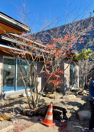 想いを受け継ぐ住まい2022年最終章へ。 想いを受け継ぐ住まい2022年最終章へ。