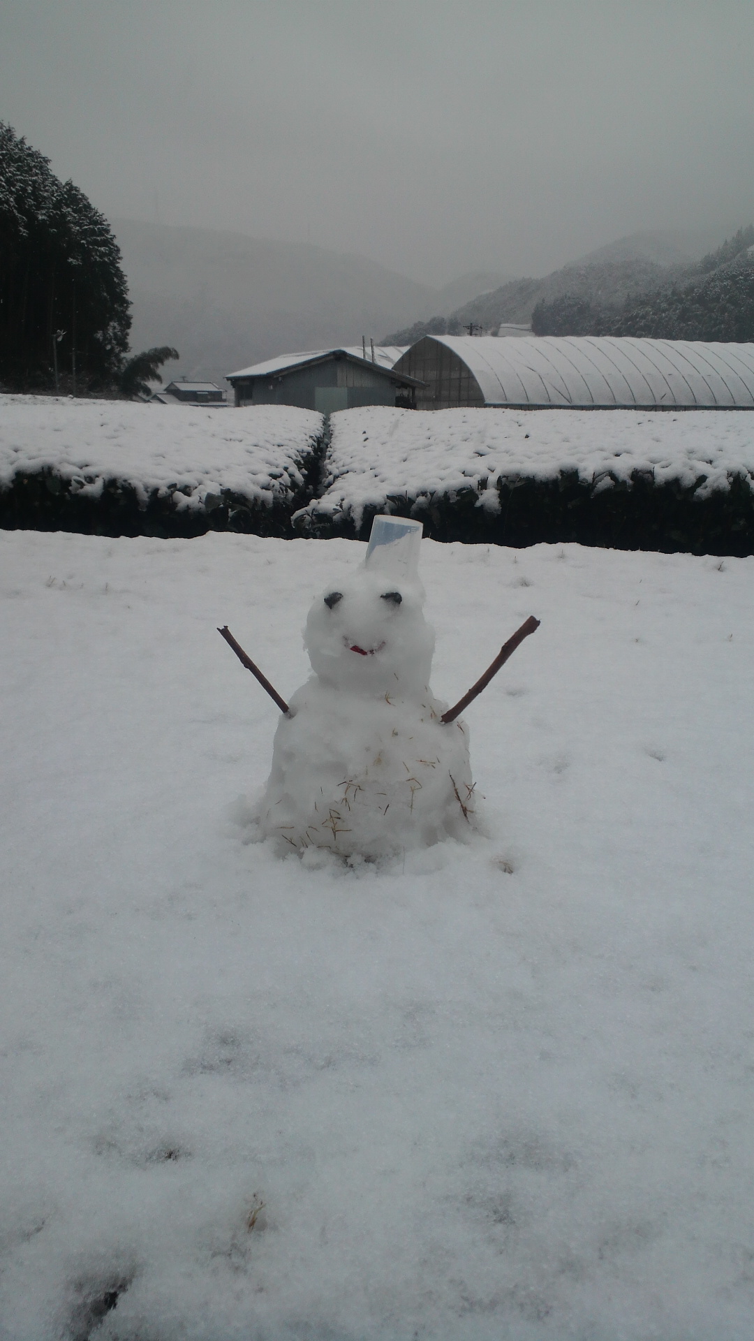 雪…