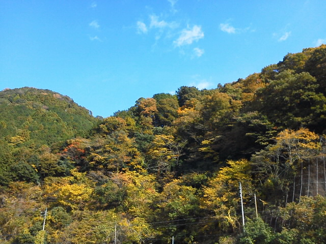 久しぶりに…