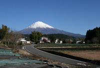 道草~青の向こう側~