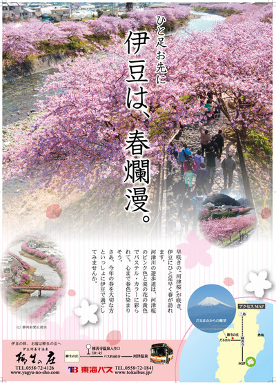 河津桜ポスター 河津桜ポスター