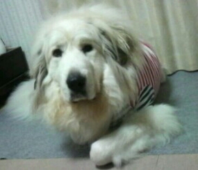 ♪今日のディスプレイ
