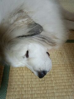 ♪今日のディスプレイ