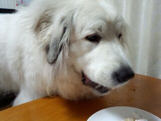 (^^ )今年もありがとうございました