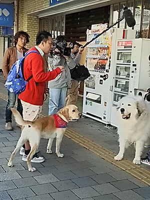 ★再入荷です! ★再入荷です!