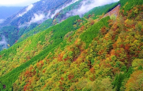 【募集終了】11/5（土）「たっぷり山時間　秋色の ウツナシ峠縦走コースを歩く」