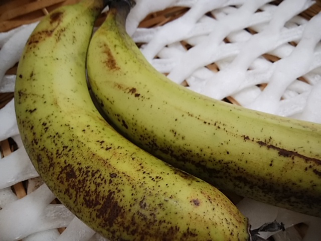 暑い中お越しのお客様ありがとうございます 5日はお客様のご要望が多い野菜が入荷 暑い中お越しのお客様ありがとうございます 5日はお客様のご要望が多い野菜が入荷