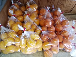 滋賀の無農薬新米が16日午後入荷 週始め朝採りの地物野菜もたくさん入荷 滋賀の無農薬新米が16日午後入荷 週始め朝採りの地物野菜もたくさん入荷