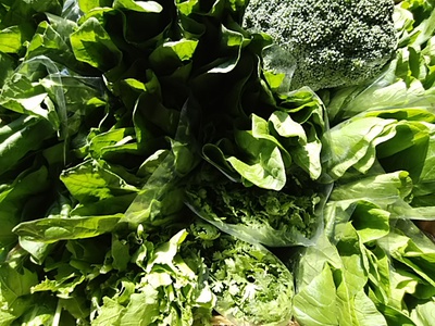 木曜日は12時オープン 潮野菜がっつり仕入れしてきます 木曜日は12時オープン 潮野菜がっつり仕入れしてきます