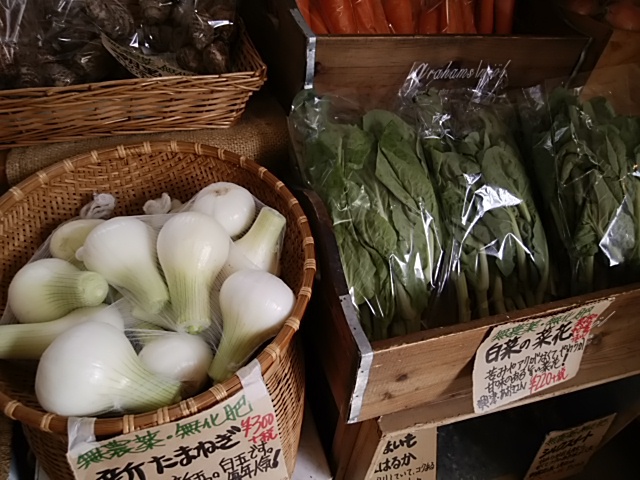 白菜菜花 新玉 新じゃが レタス キャベツ 週末も春野菜ぞくぞく入荷 白菜菜花 新玉 新じゃが レタス キャベツ 週末も春野菜ぞくぞく入荷