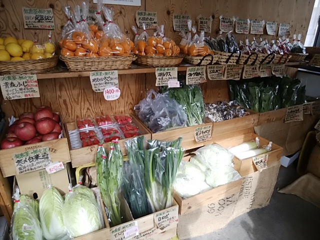 海岸育ちの旨味たっぷりサニーレタス 朝採りいちごも入荷する9日 海岸育ちの旨味たっぷりサニーレタス 朝採りいちごも入荷する9日
