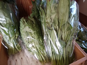 滋賀の無農薬新米が16日午後入荷 週始め朝採りの地物野菜もたくさん入荷 滋賀の無農薬新米が16日午後入荷 週始め朝採りの地物野菜もたくさん入荷