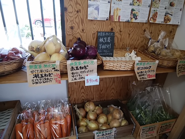 香り強くて辛味しっかり根生姜が完売 9日土曜日入荷予定 香り強くて辛味しっかり根生姜が完売 9日土曜日入荷予定