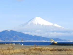 フルーツのように甘い 甘くてジューシー むっちり食感の白かぶ 26日入荷 フルーツのように甘い 甘くてジューシー むっちり食感の白かぶ 26日入荷