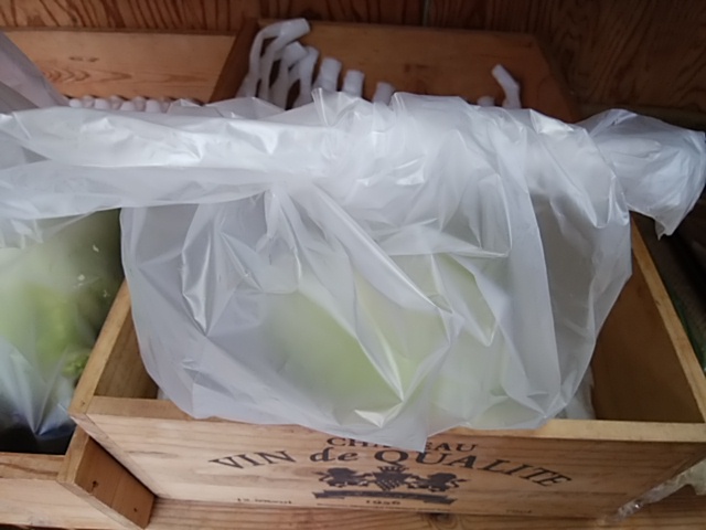 野菜屋がやっている 簡単にできる レタスの保存方法 パリパリ持続します 野菜屋がやっている 簡単にできる レタスの保存方法 パリパリ持続します