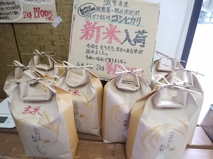滋賀の無農薬新米こしひかり 玄米白米たくさん入荷 ぶどうシャインマスカット少し復活するかも 滋賀の無農薬新米こしひかり 玄米白米たくさん入荷 ぶどうシャインマスカット少し復活するかも