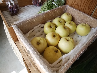 ガムのような香料の香り きっつい甘み りんごトキ入荷 ガムのような香料の香り きっつい甘み りんごトキ入荷