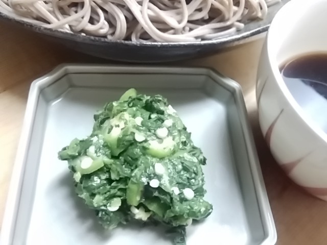 26日おすすめ野菜 大きい コリコリ歯ごたえ ネバネバ食感 丸おくら 26日おすすめ野菜 大きい コリコリ歯ごたえ ネバネバ食感 丸おくら
