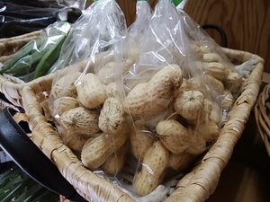 コクのある旨み 富士宮のジャンボ生落花生が入荷 秋野菜もたくさん入荷します コクのある旨み 富士宮のジャンボ生落花生が入荷 秋野菜もたくさん入荷します