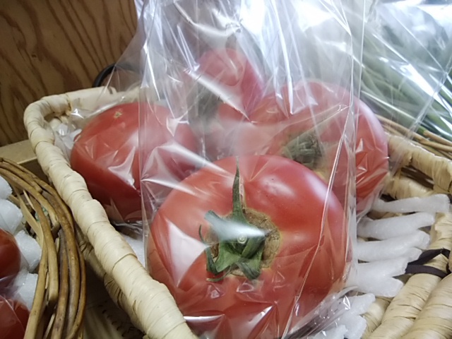 今のおすすめ 丸おくら 大玉トマト ぜひお楽しみください 今のおすすめ 丸おくら 大玉トマト ぜひお楽しみください