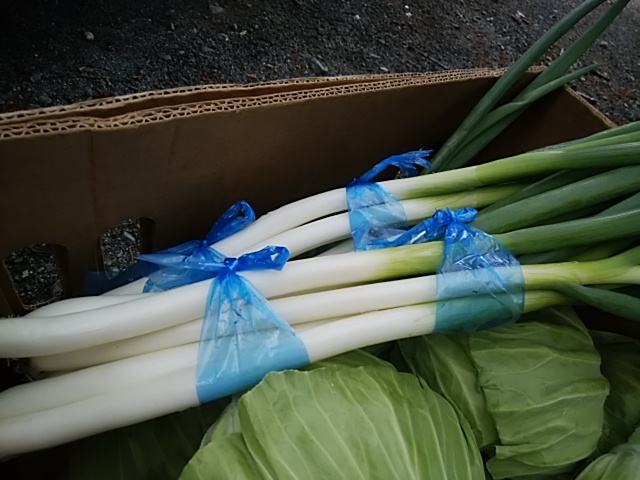 5日は富士山麓野菜と三保潮野菜が盛りだくさん 5日は富士山麓野菜と三保潮野菜が盛りだくさん