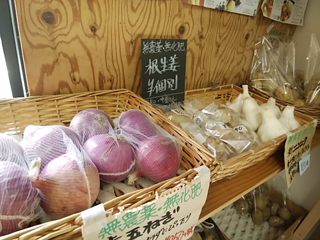 シーズン到来 甘くてジューシーな桃 今日から販売開始 シーズン到来 甘くてジューシーな桃 今日から販売開始