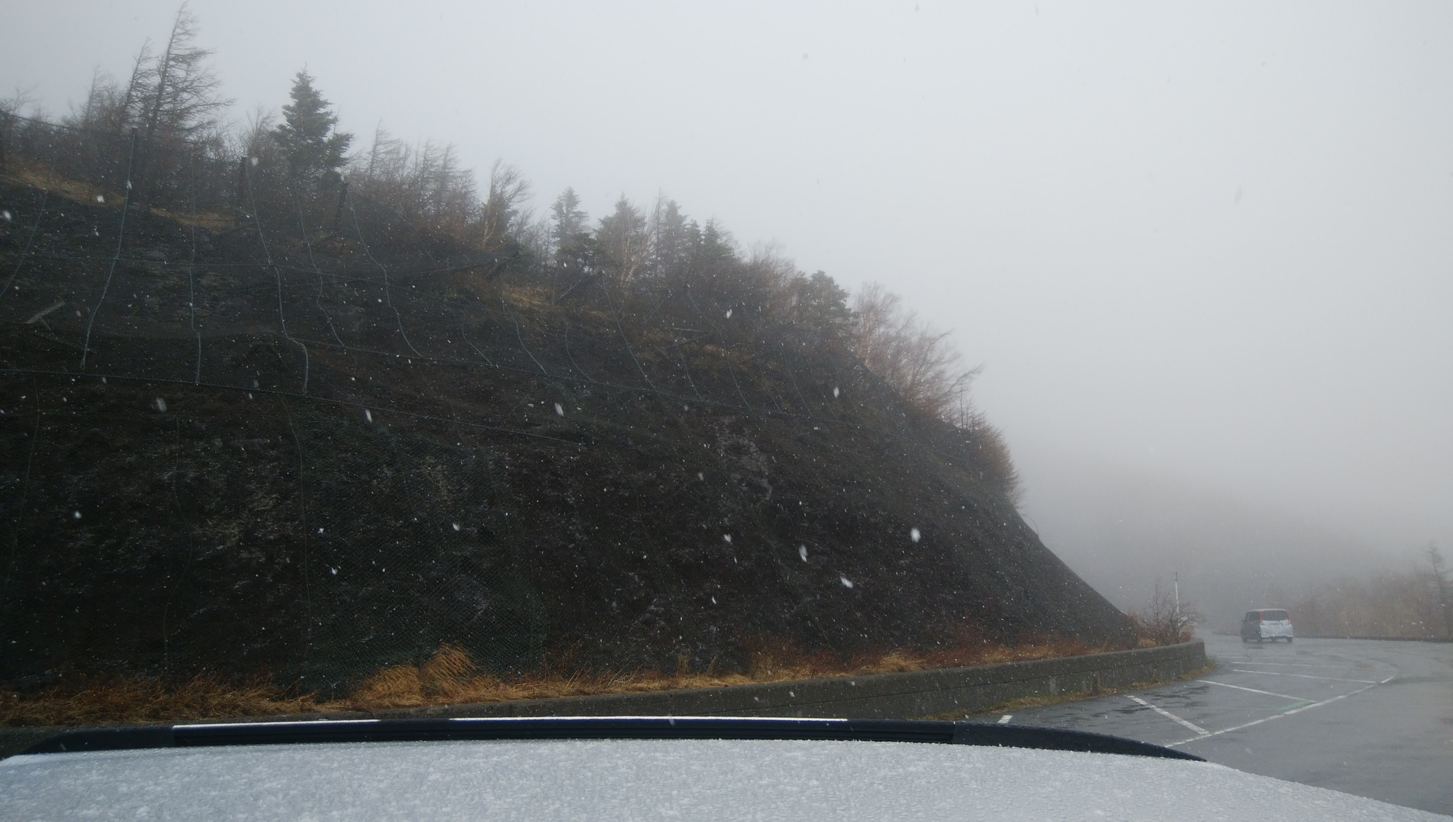 連休も通常営業 仕入れついでに雪の富士山楽しんで来ました 連休も通常営業 仕入れついでに雪の富士山楽しんで来ました