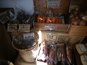 平飼い有精卵入荷 甘いみかんと柿がおすすめ とろろ芋、さつまいもも各2種類入荷 平飼い有精卵入荷 甘いみかんと柿がおすすめ とろろ芋、さつまいもも各2種類入荷