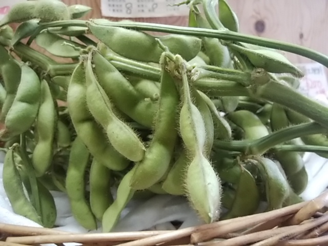 8日おすすめは黒豆の枝豆 8日おすすめは黒豆の枝豆