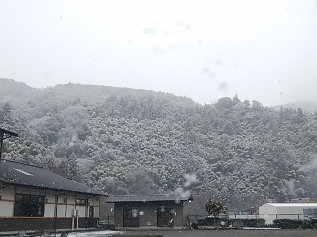 7日から新年の営業開始 朝霧高原 芝川仕入れ開始 突然雪です 7日から新年の営業開始 朝霧高原 芝川仕入れ開始 突然雪です
