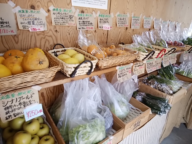 完売野菜 在庫少ない野菜 状況お知らせ 完売野菜 在庫少ない野菜 状況お知らせ
