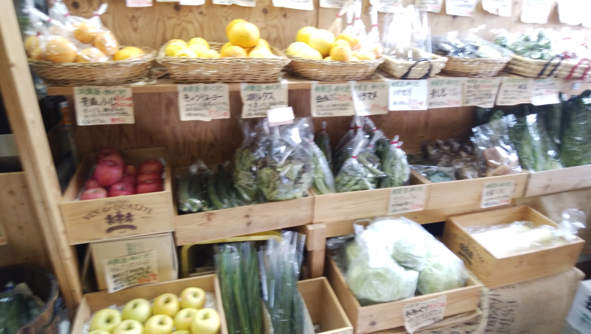 夏野菜の収穫始まります とろける茄子 パリパリキュウリがおすすめ 夏野菜の収穫始まります とろける茄子 パリパリキュウリがおすすめ