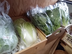 鍋料理の野菜 たくさん仕入れ 朝採れたて新鮮野菜だよ 鍋料理の野菜 たくさん仕入れ 朝採れたて新鮮野菜だよ