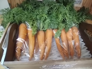 美容効果の栄養たっぷりな葉っぱ 今が旬の葉つき人参入荷 美容効果の栄養たっぷりな葉っぱ 今が旬の葉つき人参入荷