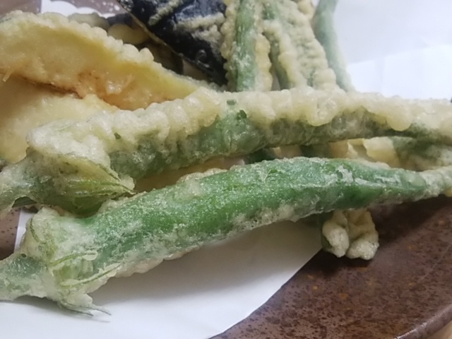 26日おすすめ野菜 大きい コリコリ歯ごたえ ネバネバ食感 丸おくら 26日おすすめ野菜 大きい コリコリ歯ごたえ ネバネバ食感 丸おくら