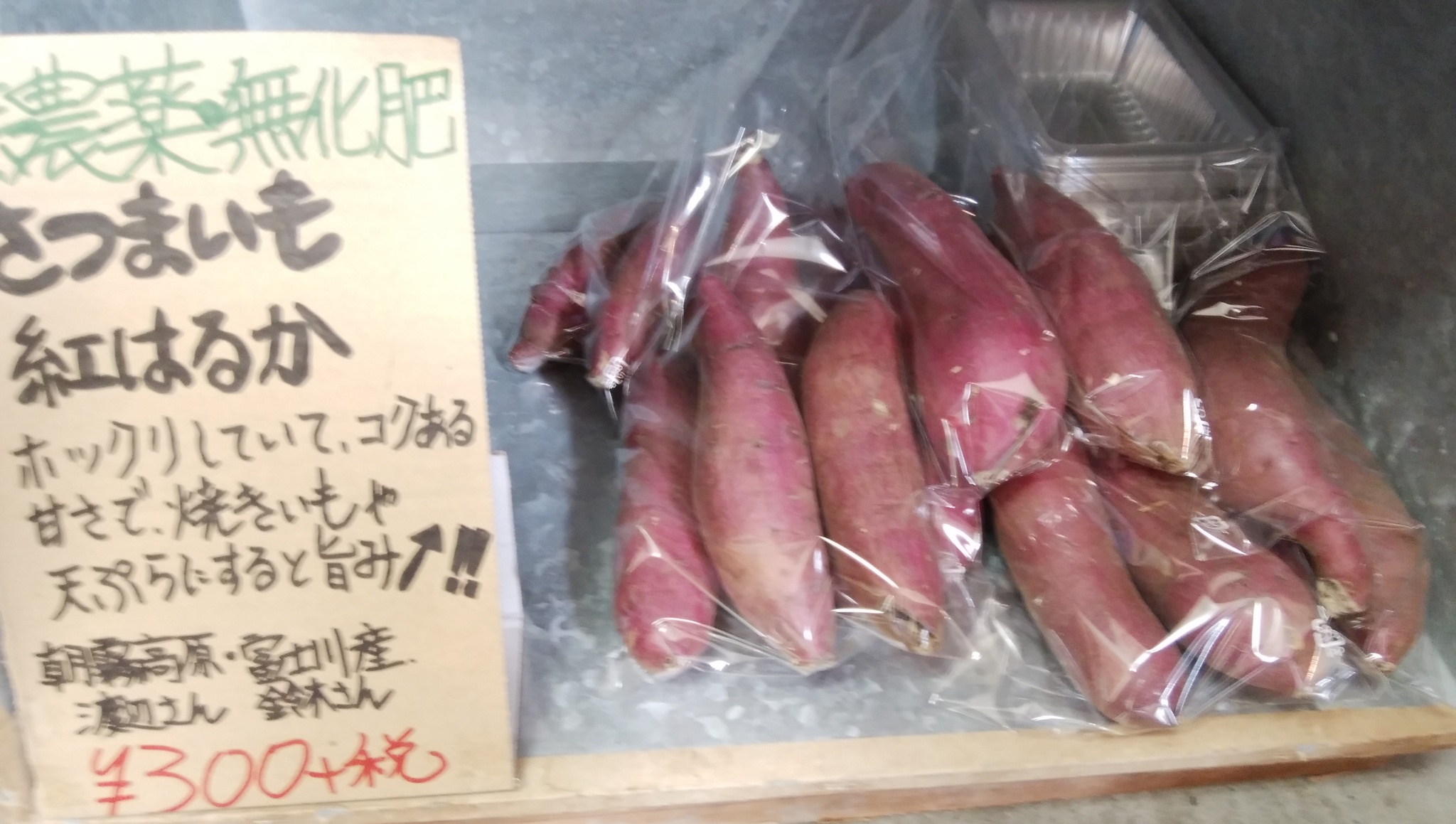 初夏野菜の入荷増 地物グレープフルーツもたくさん入荷開始 初夏野菜の入荷増 地物グレープフルーツもたくさん入荷開始