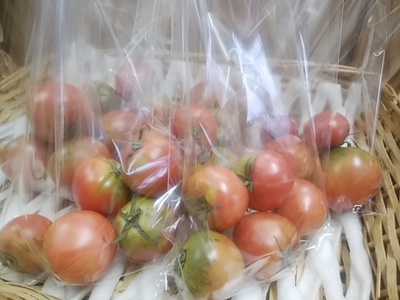 良くも悪くも味が濃厚なトマト 久しぶりの入荷 良くも悪くも味が濃厚なトマト 久しぶりの入荷