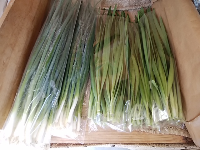 入荷した平飼い有精卵とニラ 免疫力上げる完全栄養食ニラ玉 入荷した平飼い有精卵とニラ 免疫力上げる完全栄養食ニラ玉