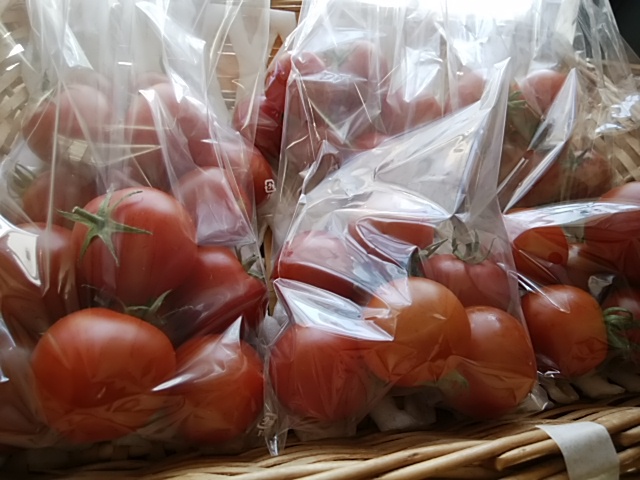 4月10日のおすすめ野菜はこれら2種! 4月10日のおすすめ野菜はこれら2種!