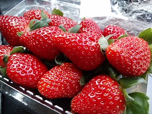 木曜日は12時オープン 地物野菜と果物たくさん入荷 りんごが今週は完売状態 木曜日は12時オープン 地物野菜と果物たくさん入荷 りんごが今週は完売状態