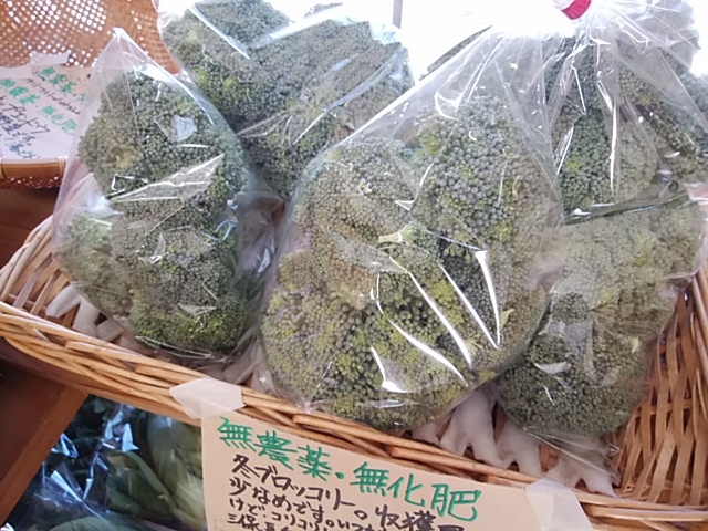 温暖でブロッコリーの花が咲きやすい 温暖でブロッコリーの花が咲きやすい