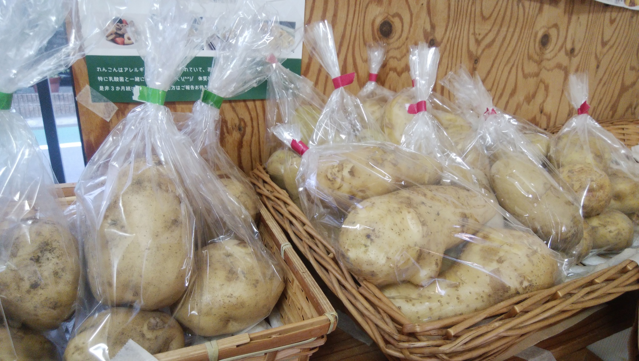 地物の新じゃが3種入荷開始 じゃがいも4種揃っています 入荷野菜が増加中 地物の新じゃが3種入荷開始 じゃがいも4種揃っています 入荷野菜が増加中