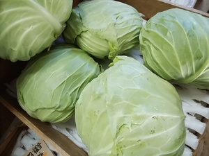 地物の苺がたくさん入荷 9日の野菜は天候次第で収穫が減ります 地物の苺がたくさん入荷 9日の野菜は天候次第で収穫が減ります